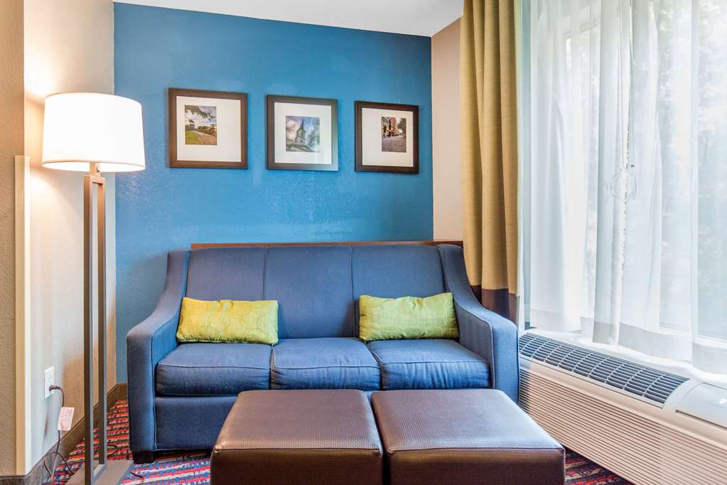 Comfort Suites Fairview Heights St. Louis - photo 13