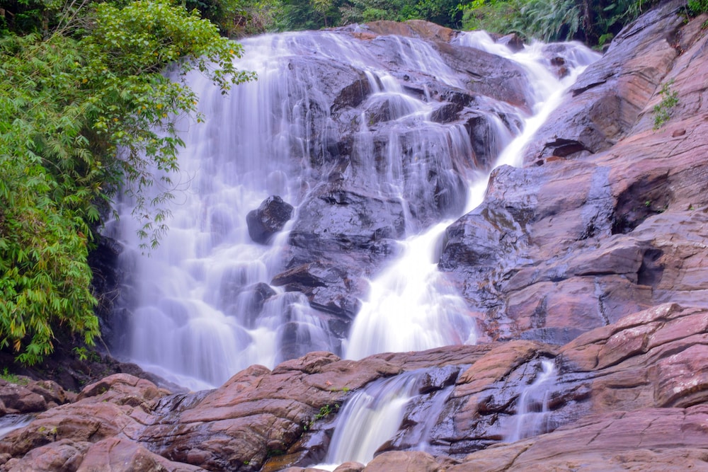 Sinharaja Forest Gate in Matara, Sri Lanka