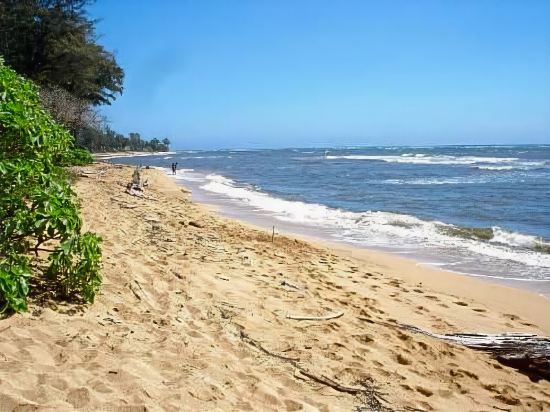 Islander on the Beach Unit 244 - photo 12