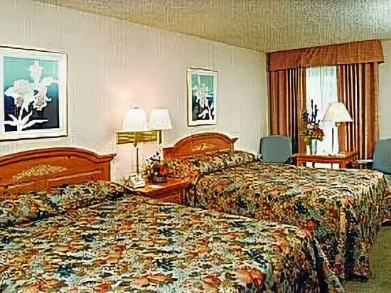 Royal Garden Inn - photo 8