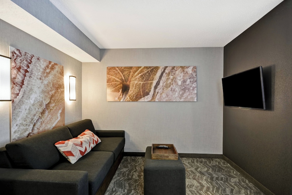 SpringHill Suites by Marriott Indianapolis Airport Plainfield - photo 16