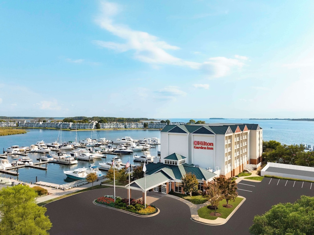 Hilton Garden Inn Kent Island Marina - photo 36