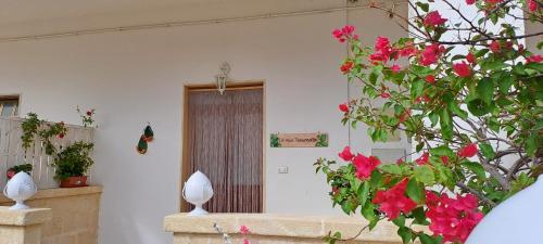 La Mia Tavernetta in Fasano, Italy