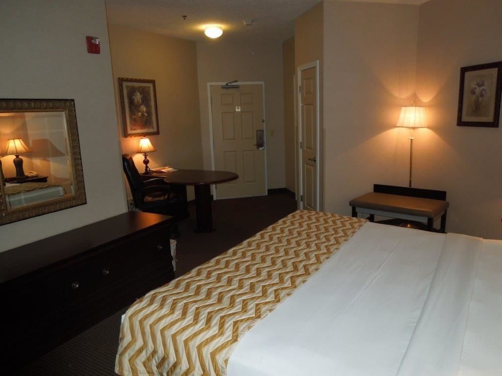 Super 8 by Wyndham Albany - photo 5