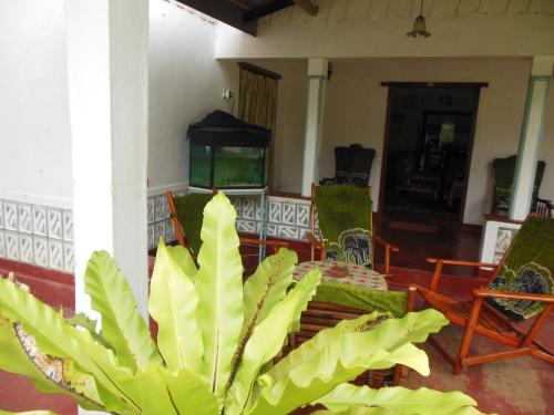 Natural Holiday Inn in Tangalle, Sri Lanka