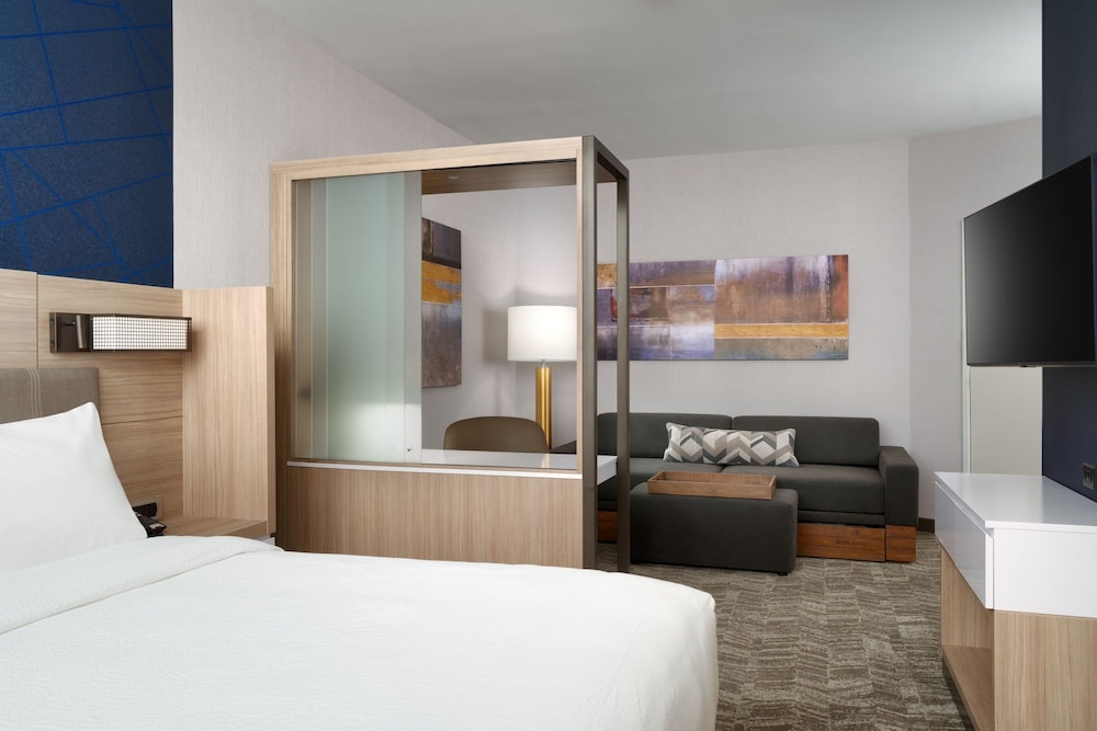 SpringHill Suites by Marriott Phoenix Scottsdale - photo 10