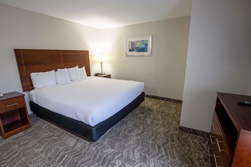 Best Western Plus Vermilion River Inn & Suites - photo 6