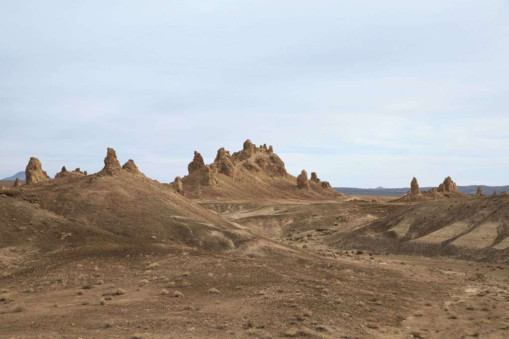Super 8 By Wyndham Ridgecrest - photo 15
