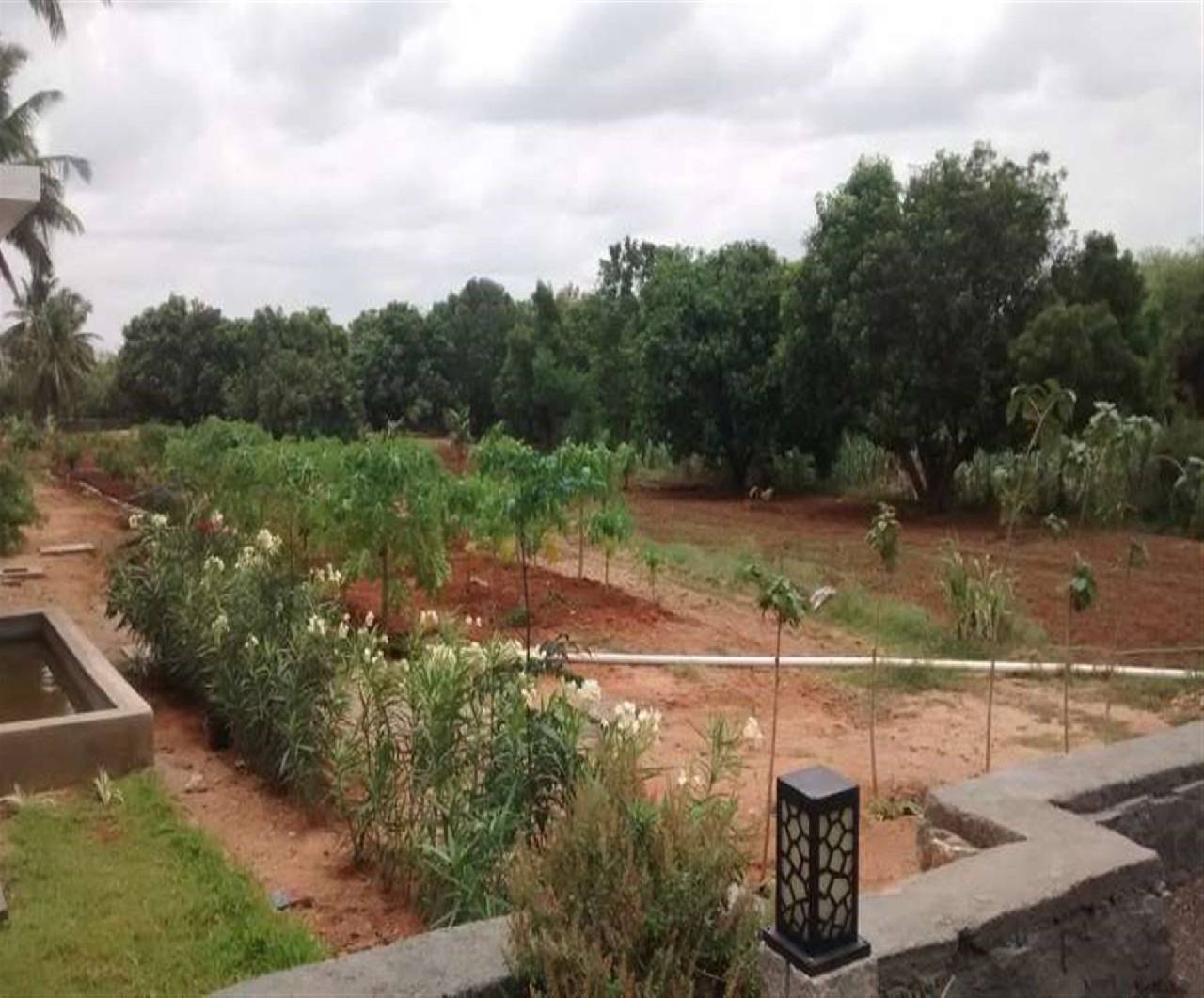 Heritage Resort Hampi — Hospet — photo 5