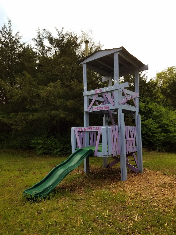 Savannah's Meadow - photo 25