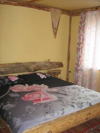 Terema — Belgorod — photo 5