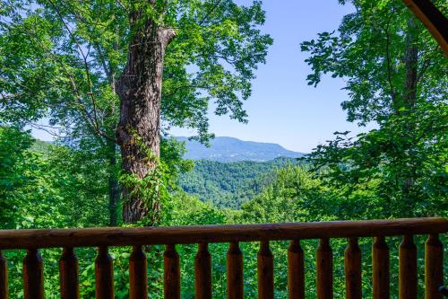 BearSlide Inn - photo 49