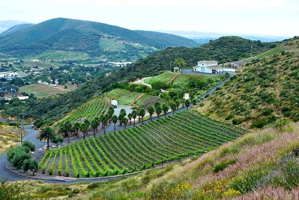 Sunshine Mountain Bed and Breakfast — 4-Star Luxury Hotel in San Marcos, United States