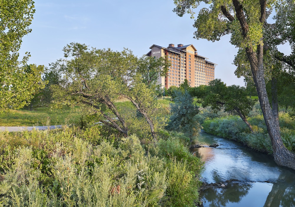 The Westin Westminster - photo 20