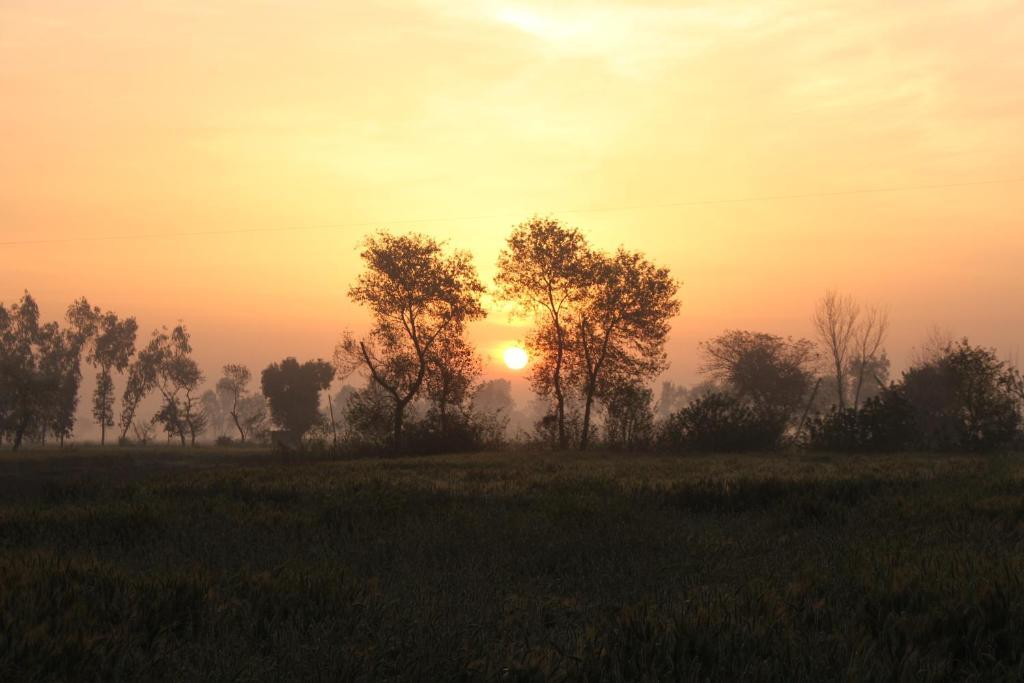 Farmer’s Villa Best Farm Stay as per Guest’s Reviews