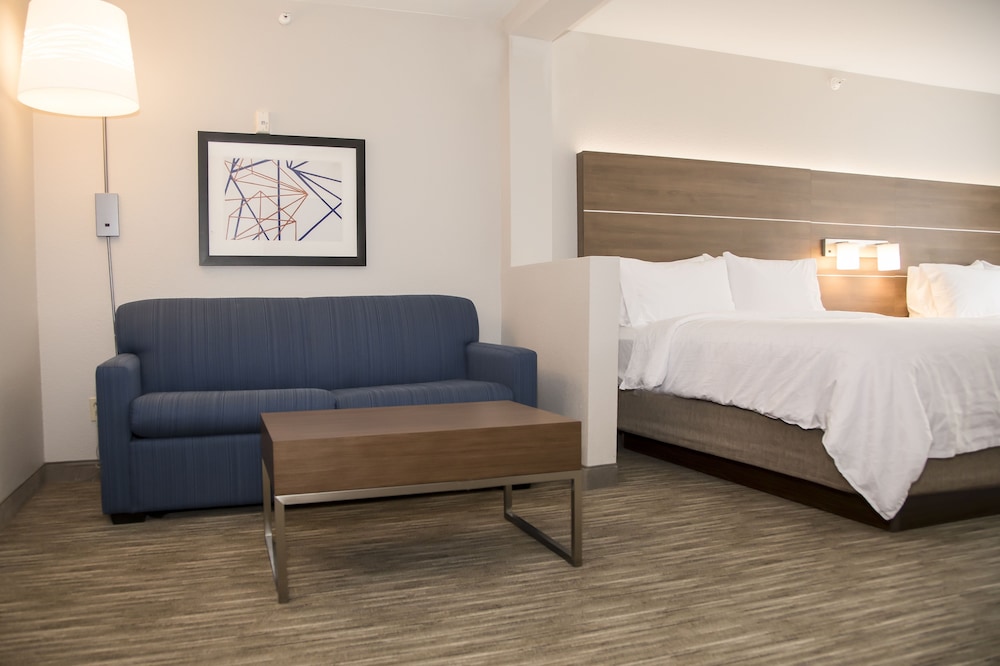 Holiday Inn Express & Suites Colorado Springs North by IHG - photo 9
