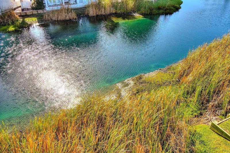 Coastal Hideaway 230 BE - photo 53