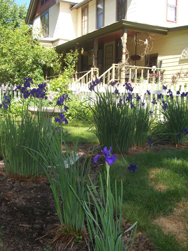 Apple Tree Lane Bed & Breakfast - photo 42