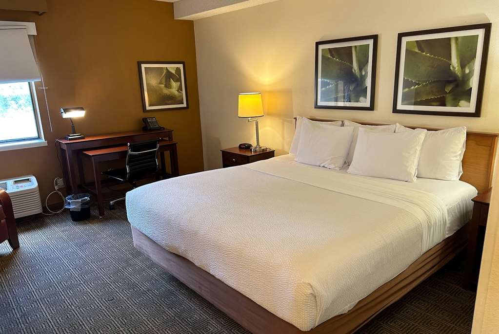 Baymont by Wyndham Orlando South - photo 25