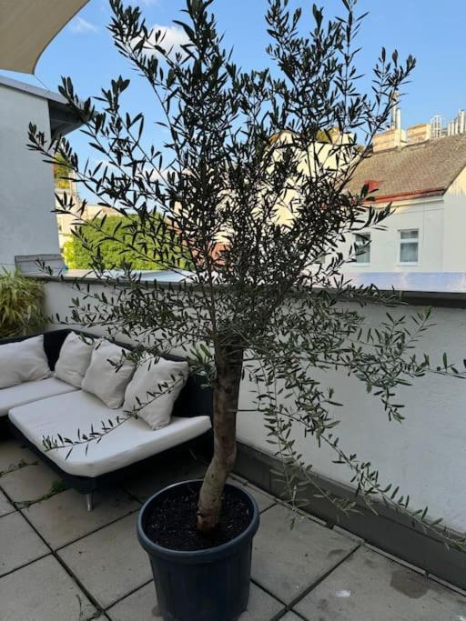 Terrassentraum für 2 — 4-Star Luxury Hotel in Vienna, Austria