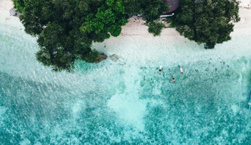 Pescador View Beachfront and Extension by the Ocean Hostels & Restaurant Moalboal in Moalboal, Philippines