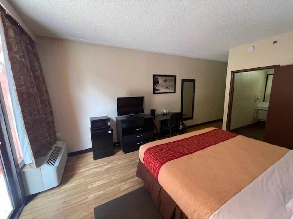 Tropical Palms Hotel - photo 7