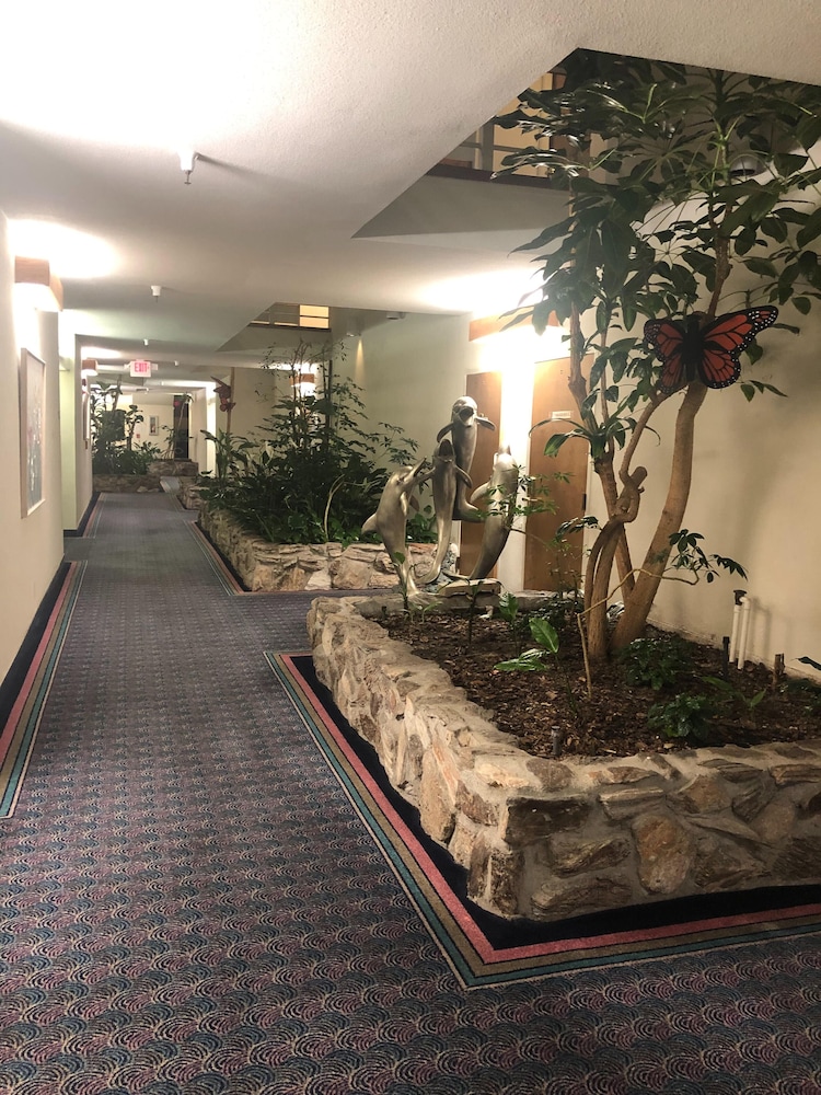 Monarch Resort - photo 2
