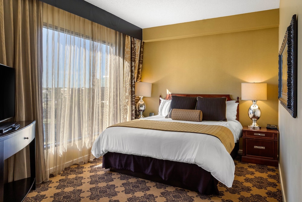 Omni Houston Hotel - photo 7