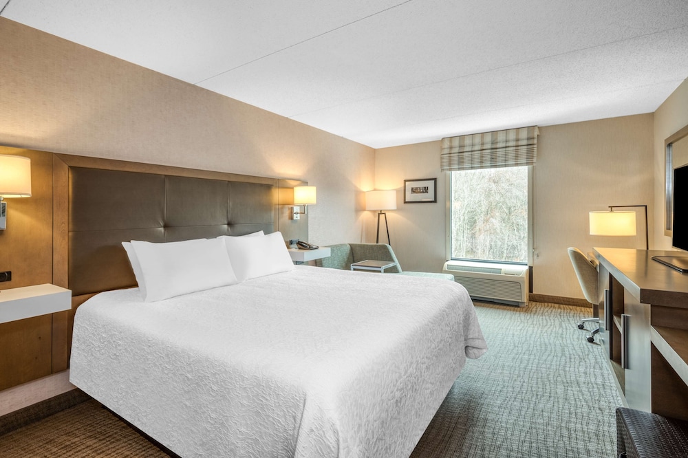 Hampton Inn Raynham Taunton - photo 10