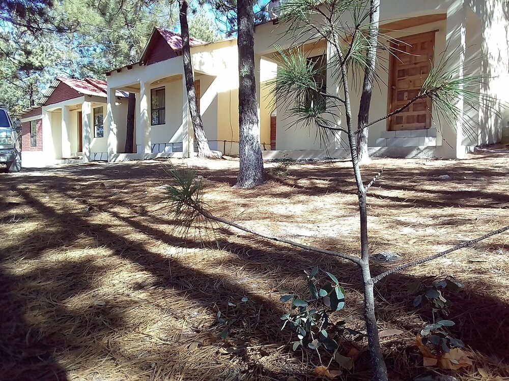 Canyons Adventure in Creel, Mexico