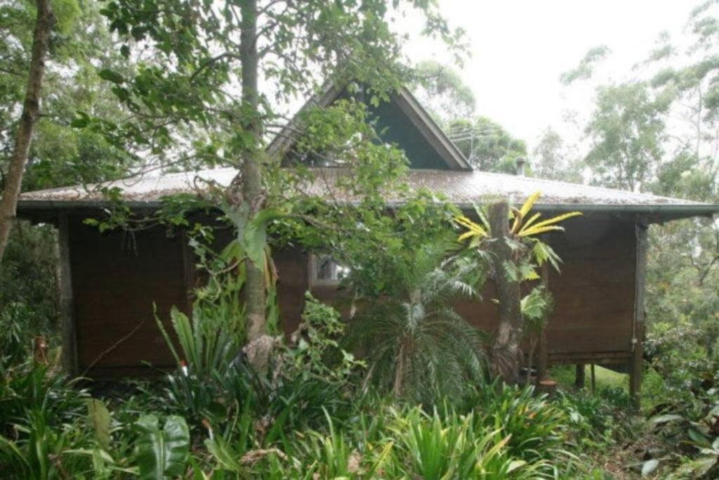Jinwhi - last minute hotel in Gold Coast
