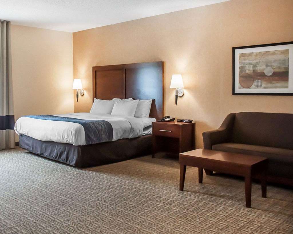 Comfort Inn & Suites Hamburg Buffalo South - photo 16