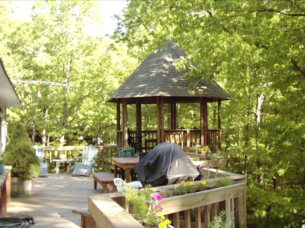 Woodland_magic - photo 16