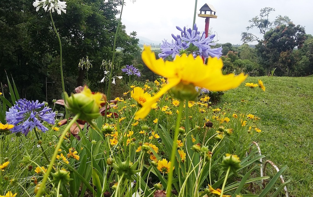 Chácara do Alemão Recanto Jd.Silvestre in Extrema, Brasil