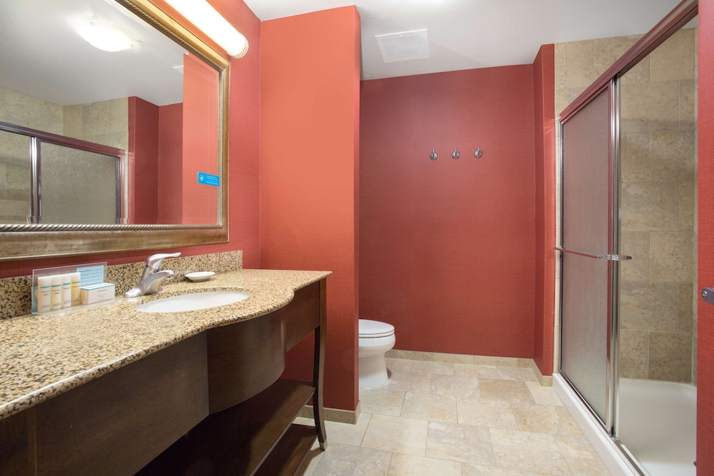 Hampton Inn Siloam Springs - photo 24
