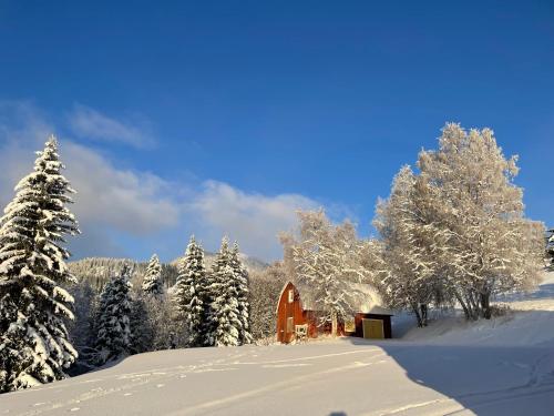 Solbergs fint attefallshus i Vik Åre — Are — photo 4