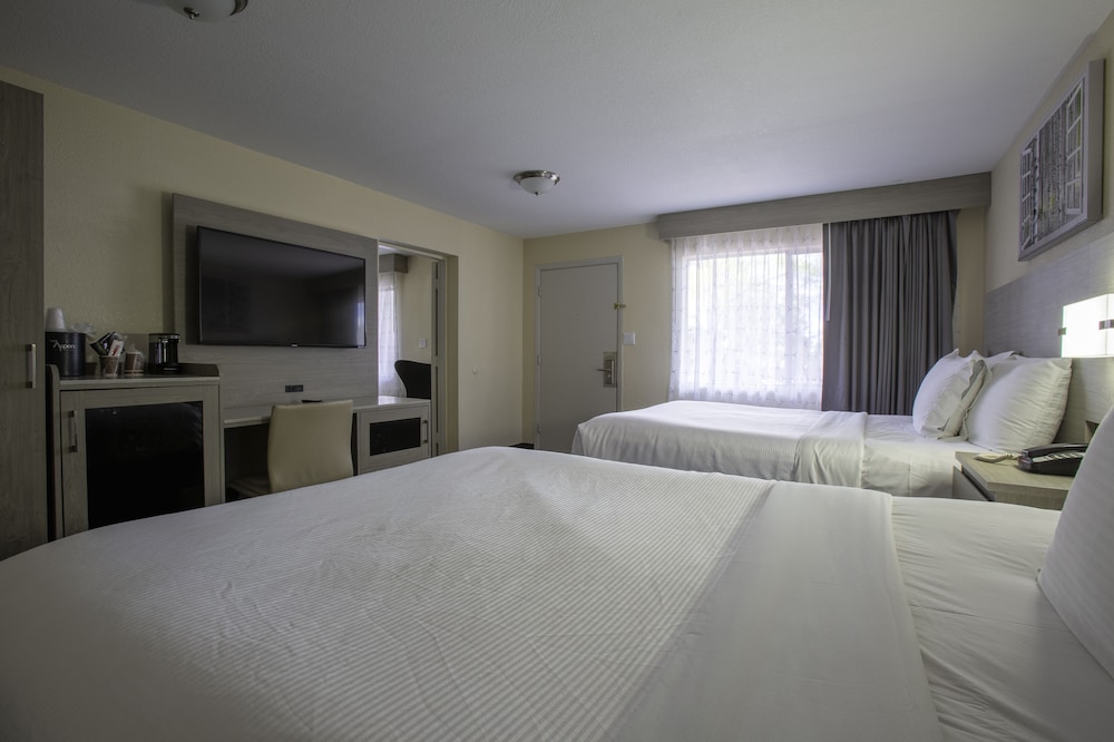 Hotel Aspen InnSuites Flagstaff Grand Canyon - photo 13