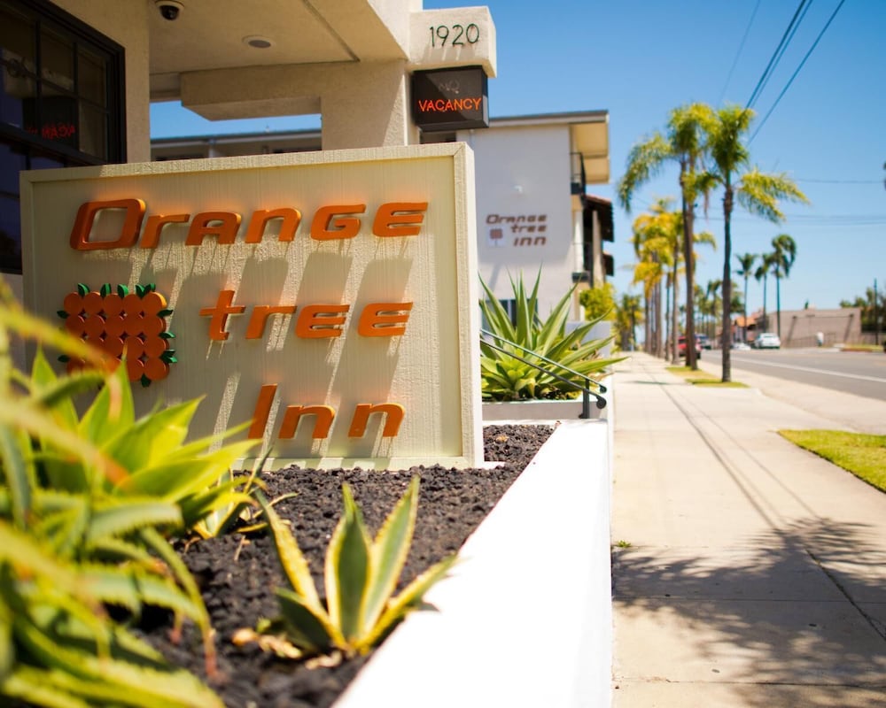 Orange Tree Inn - photo 43