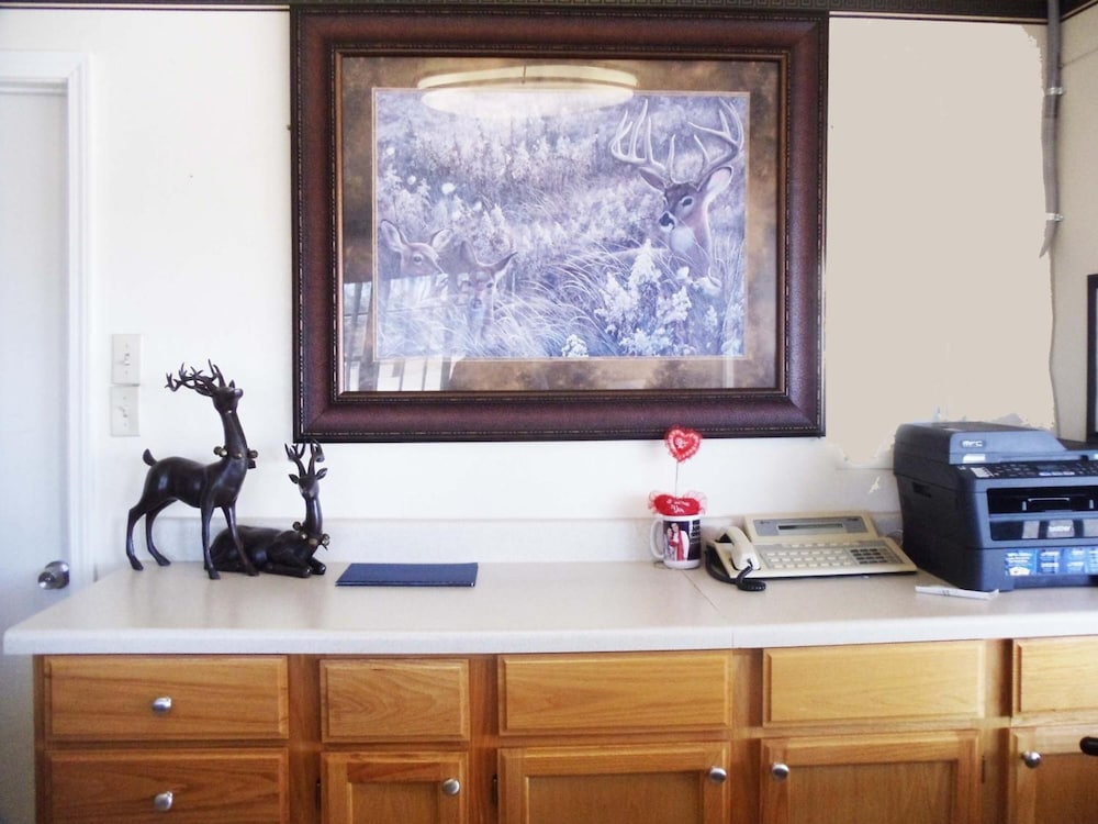 Antlers Budget Inn - photo 28