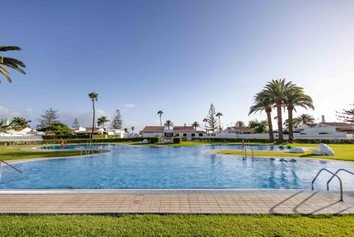 Holycan in Playa Del Ingles, Spain