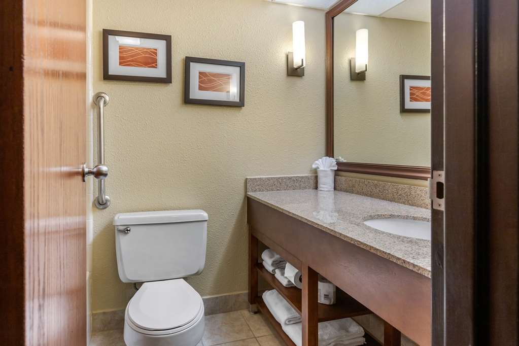 Comfort Inn Grand Rapids Airport - photo 25