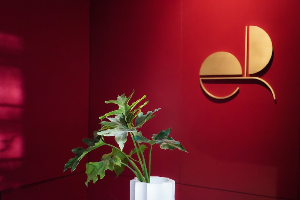 Hotel Edificio Republica - last minute hotel in Mexico City