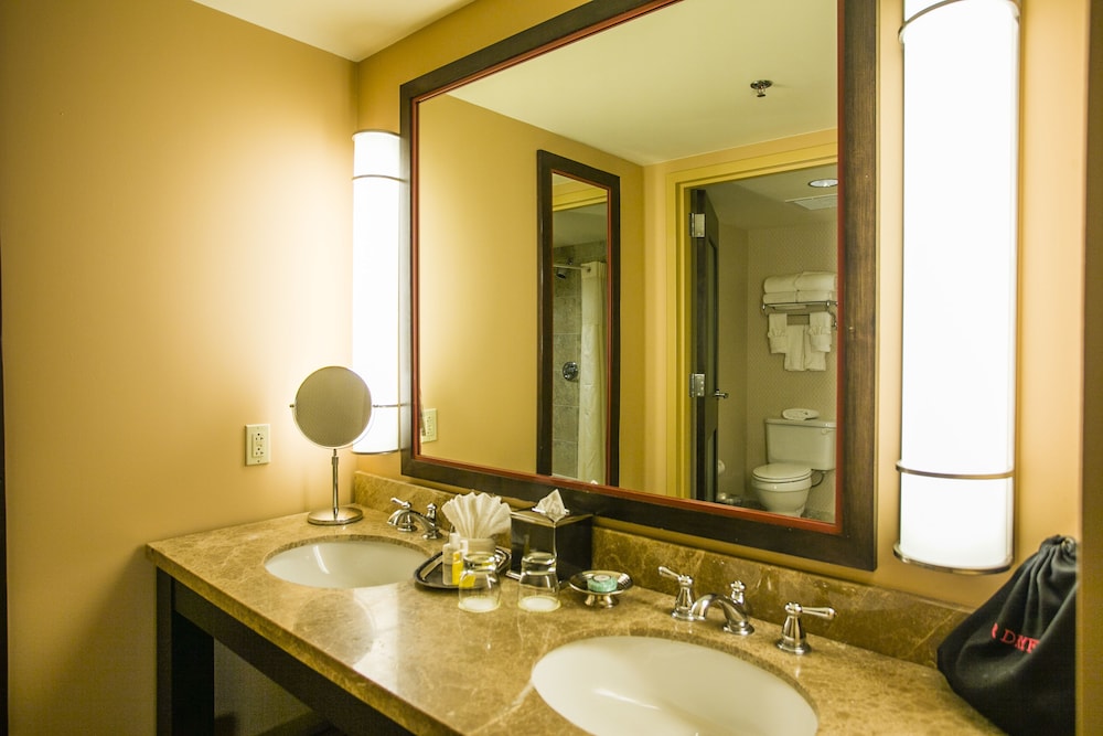 Overton Hotel and Conference Center - photo 33