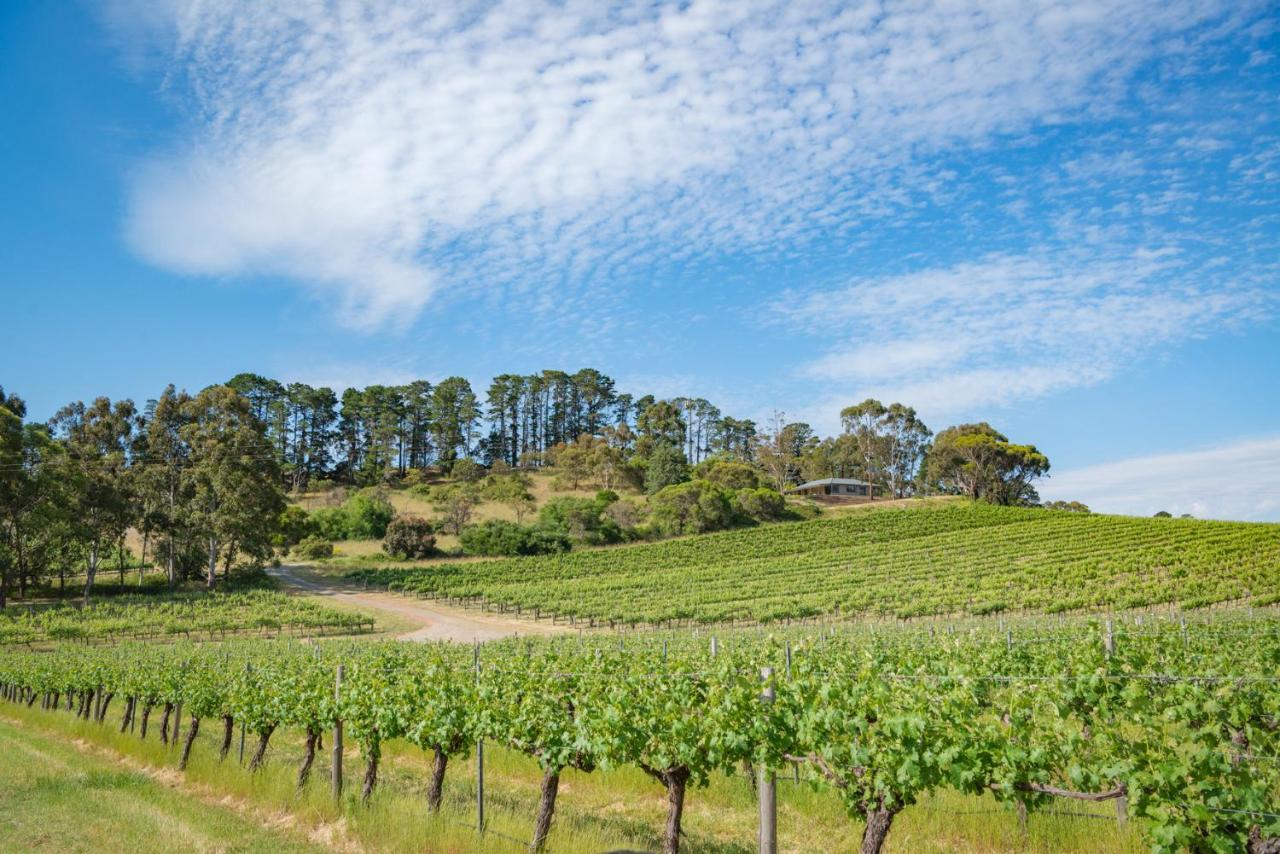 Mclaren Vale Getaways — hotel in Mclaren Flat