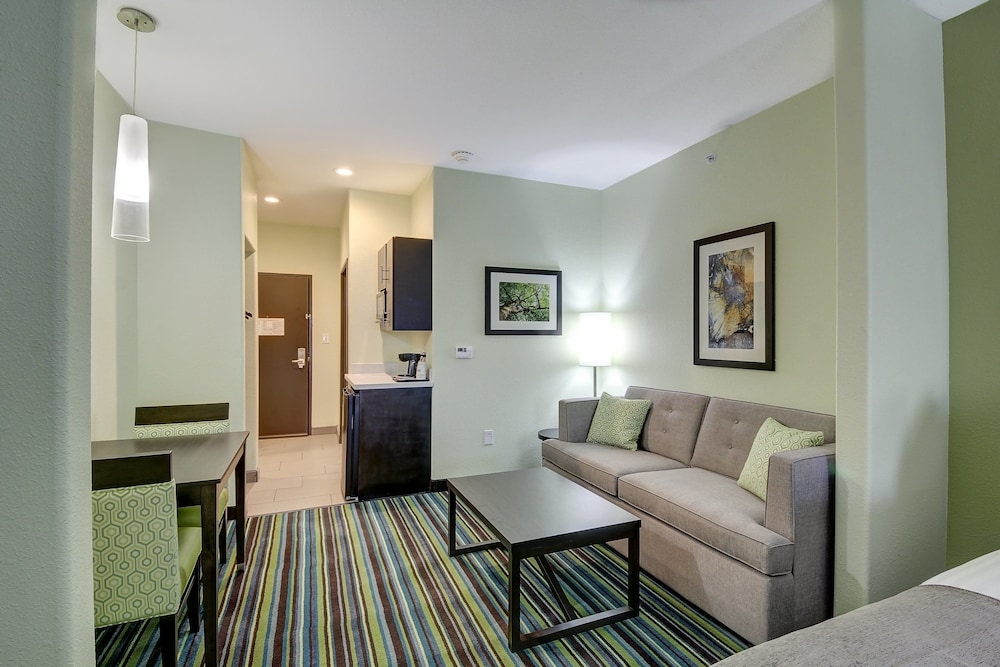 Holiday Inn Express & Suites Carrizo Springs by IHG - photo 4