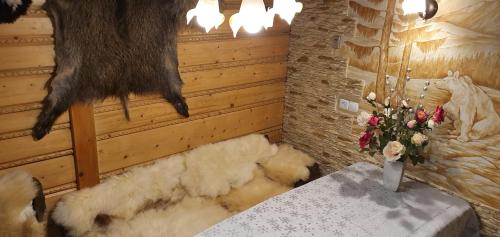Domki Mroz — Zakopane — photo 5