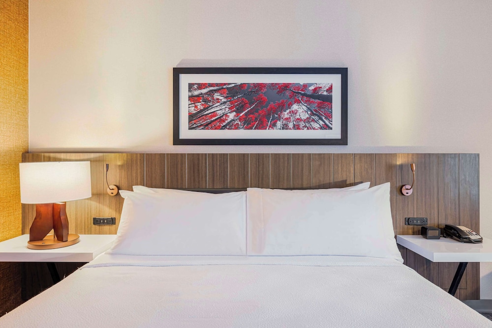 Hilton Garden Inn Colorado Springs Airport - photo 13