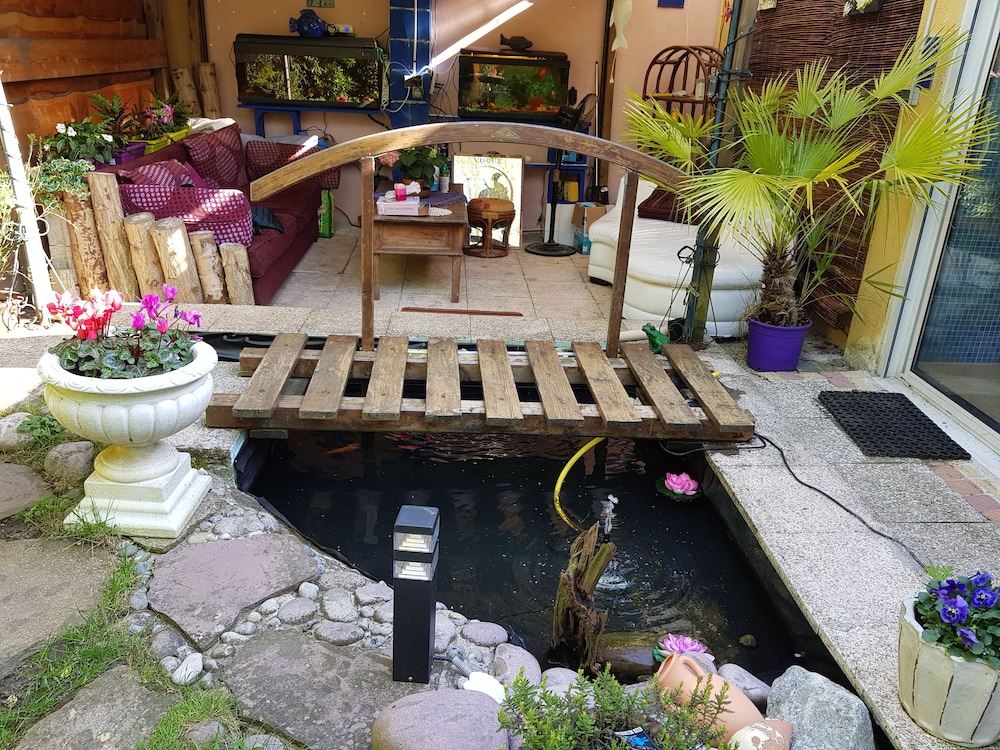 Les Nénuphars — Chatenay-Malabry — photo 2