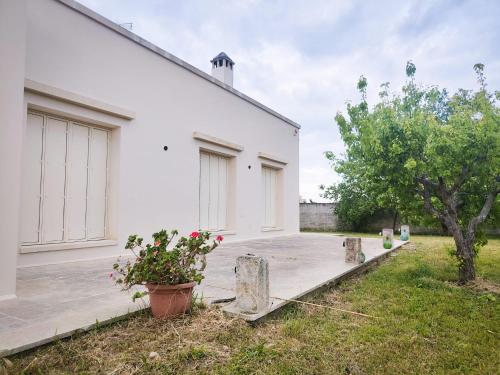 Casina Angelico — hotel in Monteroni Di Lecce