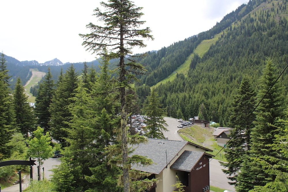 Crystal Chalets Condominiums at Crystal Mountain Ski Resort - photo 184